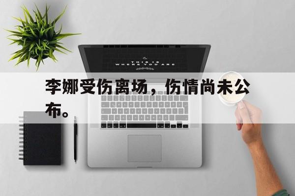 浩瀚体育网页版-李娜受伤离场，伤情尚未公布。
